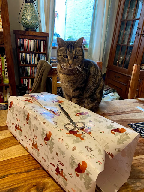 A small, cross-eyed tabby cat sitting in front of a half-wrapped Christmas gift.