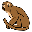 اسم القرد باللغة الإنجليزية هو Monkey وتنطق 'مانكي'