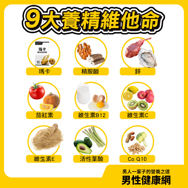 9大養精維他命