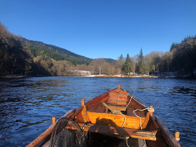 Spring Salmon Fishing