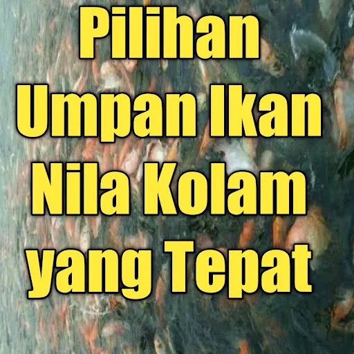 Umpan Ikan Nila Kolam Yang Tepat - Untuk mancing ikan nila peliharan dan liar tentunya terkadang berbesa untuk umpanya, tapi terkadang tetap ada kesamaanya tapi kalau untuk ikan nila peliharaan kolam tentunya akan banyak perbedaanya. Bukan hanya di lihat dari umpan saja