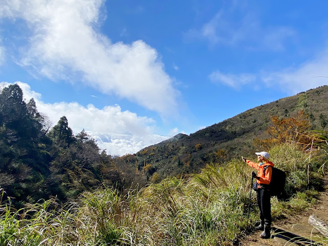 太平山山毛櫸步道