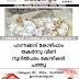 പടന്നക്കാട് കോഴിഫാം  തകർന്നു വീണ്  നൂറിൽപരം കോഴികൾ ചത്തു 