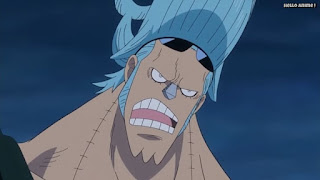 ワンピースアニメ ゾウ編 766話 フランキー | ONE PIECE Episode 766