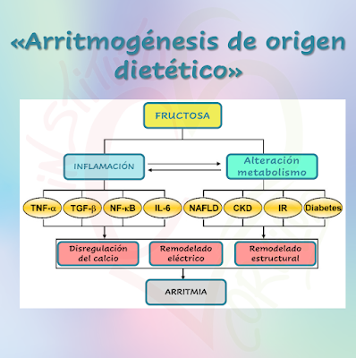 blog,ameliacarro,institutocorvilud,cardiologoasturias,cardiologogijon,cardiologoaviles,cardiologooviedo,cardiologiadeportiva,dracookinghealthy,guevosfritos,productos,ultraprocesados,nutriscore,alimentacion,saludable,dieta,mediterranea,omega3,omega6,microbiota,nutricionysalud,alimentosfuncionales,macrobiotica,superalimentos