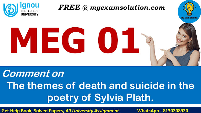 Comment on the themes of death and suicide in the poetry of Sylvia Plath.