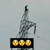 Residents of Benin City gather to watch ”witch” that landed on a high tension cable (video)