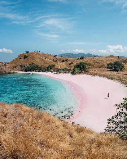 5 Pantai Pink Yang Indah Di Indonesia Yang Wajib Diketahui