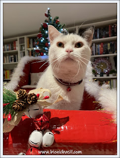 Crafting with Cats Christmas Spercial ©BionicBasil® Smooch in the Sant Paws Sled