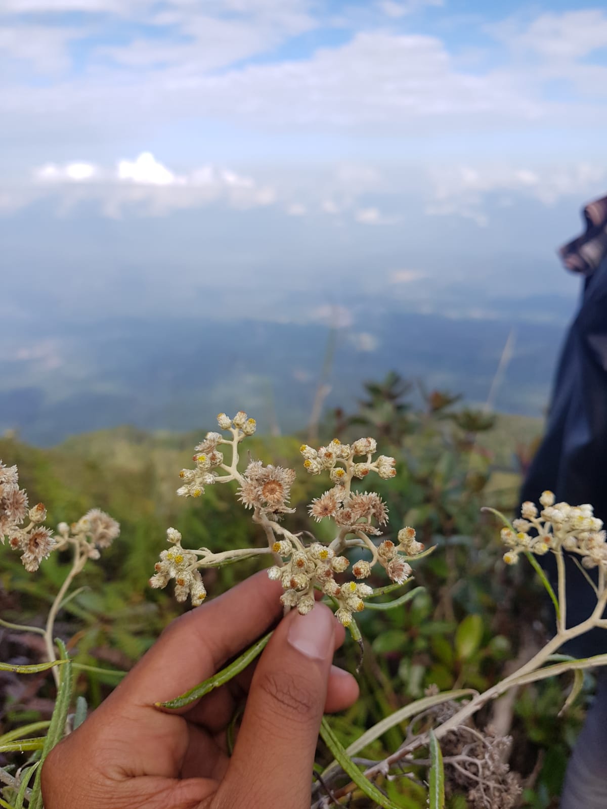 Menjual Mata Uang Yang Lusuh dan Cek