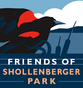 Friends of Shollenberger