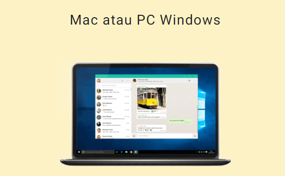 Aplikasi WhatsApp Desktop Terbaru