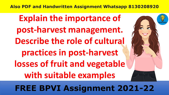 Explain the importance of post-harvest management. Describe the role of cultural practices in post-harvest losses of fruit and vegetable with suitable examples