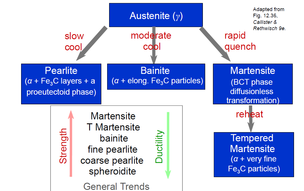Steel Phase Transformations: Austenite to Pearlite, Bainite and Martensite