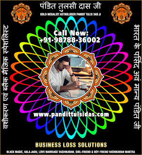 Business Loss Solutions in India Punjab Phillaur Jalandhar +91-9878836002 https://www.pandittulsidas.com