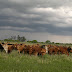  Quintana celebró las condiciones climáticas que favorecen a los productores locales