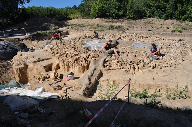 Исследователь ведут раскопки загадочного сооружения из 60 мамонтов