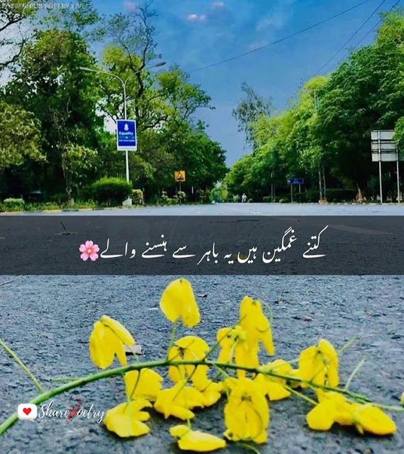 Deep Poetry Image - Flower Sad Urdu Captions
