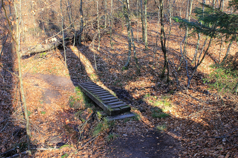 le sentier des roches