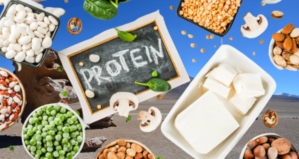 Protein