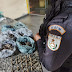 Confira vídeo reportagem -Grande quantidade de droga apreendida em Gargaú
