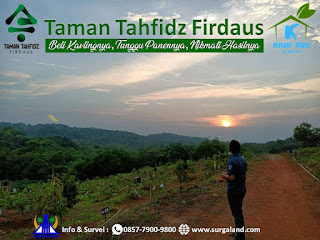 Memandang matahari tenggelam di Taman Tahfidz Firdaus adalah sebuah kenikmatan tersendiri