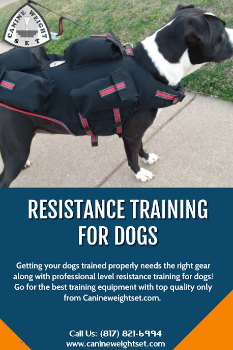Resistance training for dogs