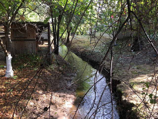 Water in Our Creek - Orangevale, CA 10/25/2021