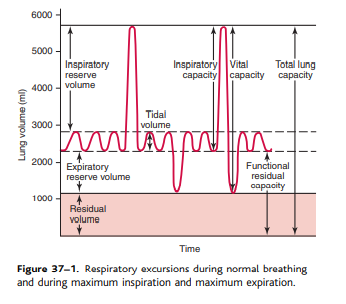 Pulmonary volumes and Capacities