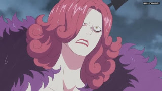 One Piece 第810話 ルフィvs怒りの軍団 ネタバレ