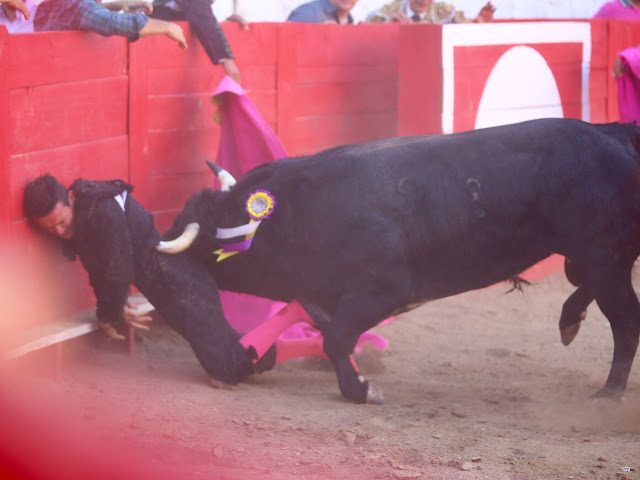 Foto: Emilio Méndez