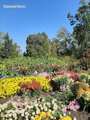 Октябрь в ботаническом саду