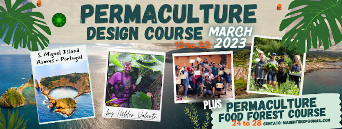 Permaculture Design Course and Food Forest