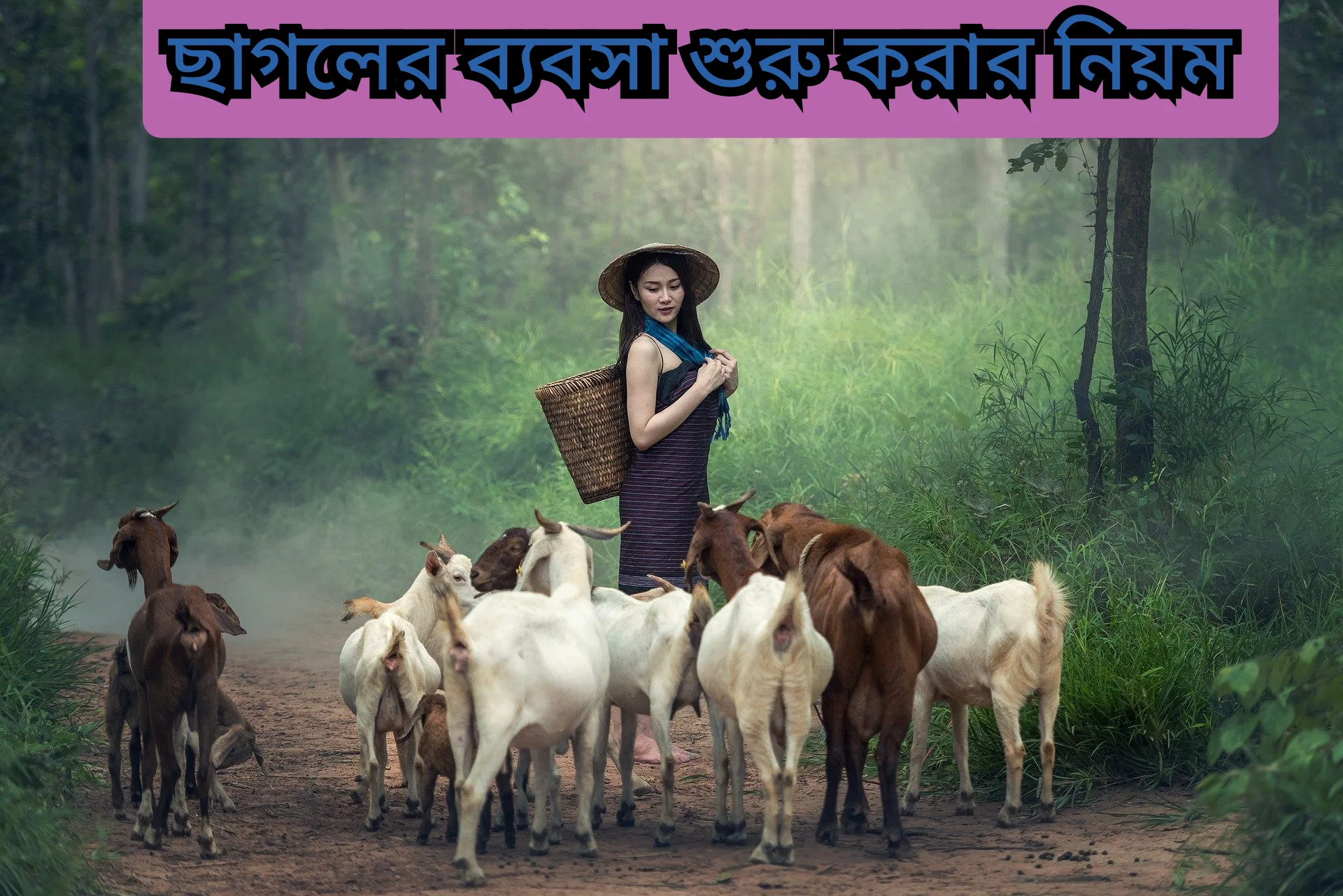 ছাগলের ব্যবসা শুরু করার নিয়ম