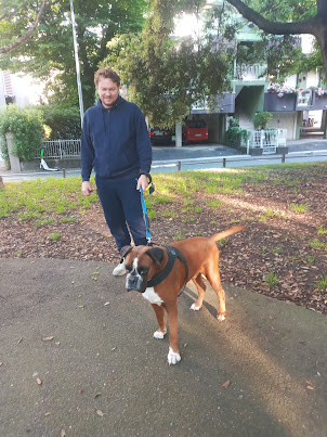 Early.morning walk with the boxer in Rimini garden..