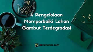 4 Pengelolaan Memperbaiki Lahan Gambut Terdegradasi