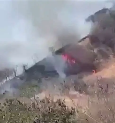 Costa Rica: Incendio forestal consume 245 hectáreas en Turrubares