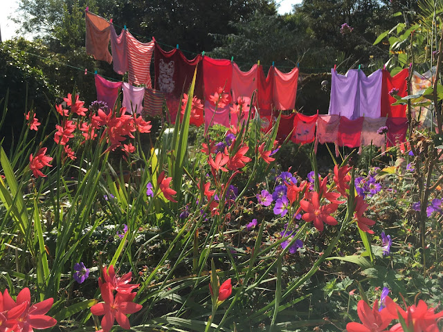colour coordinated washing gardening