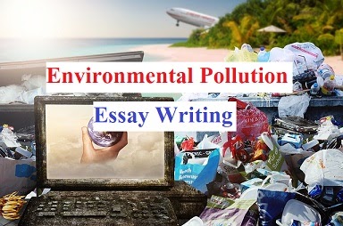 best essay on environmental pollution