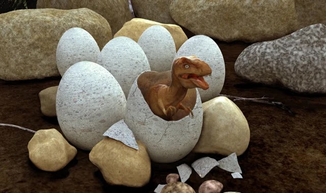 10 million years old dinosaur eggs were found, the egg weighs 40 kg