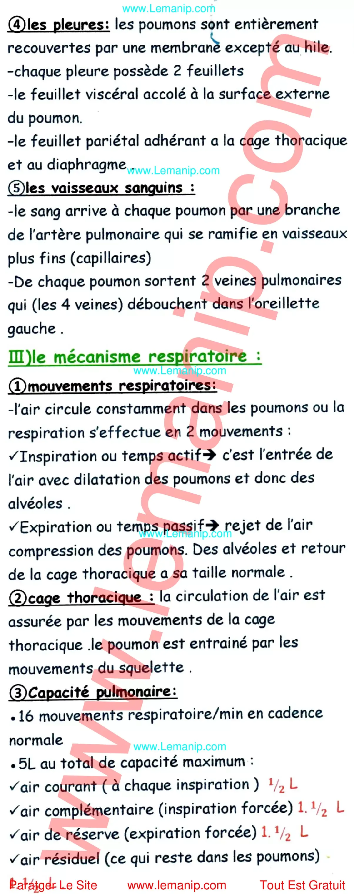 Résumé Du Cour 16 Du Module Anatomie Et Physiologie 2