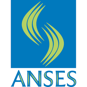 Página oficial de ANSES