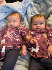 Our Twin Granddaughters