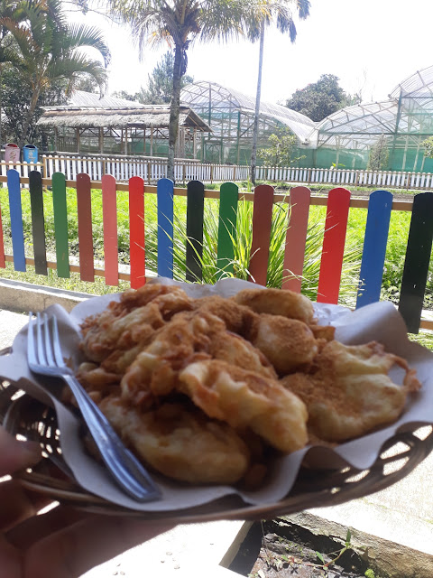 Pisang Goreng Jendela Alam Bandung