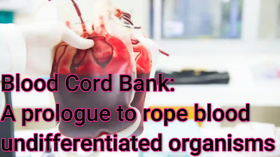 Blood Cord Bank: A prologue to rope blood undifferentiated organisms