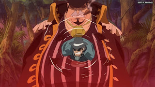 ワンピースアニメ ゾウ編 763話 シロシロの実 | ONE PIECE Episode 763