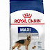 Royal Canin Maxi Adult Dry Dog Food, Meat Flavour;रॉयल कैनिन मैक्सी एडल्ट ड्राई डॉग फूड, मीट फ्लेवर