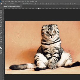 Cara Menyeleksi Objek Di Photoshop hanya satu klik menggunakan fitur select objek