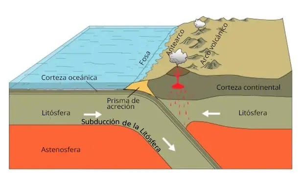 Una zona de subducción es un lugar donde una placa tectónica de la litosfera se coloca debajo de otra. La litosfera es la capa más externa y rígida del planeta, que incluye la corteza y el manto superior y se divide en placas tectónicas.
