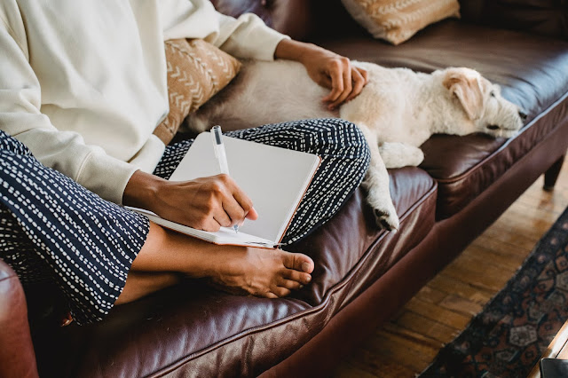 Person sat on a sofa with a dog, journalling